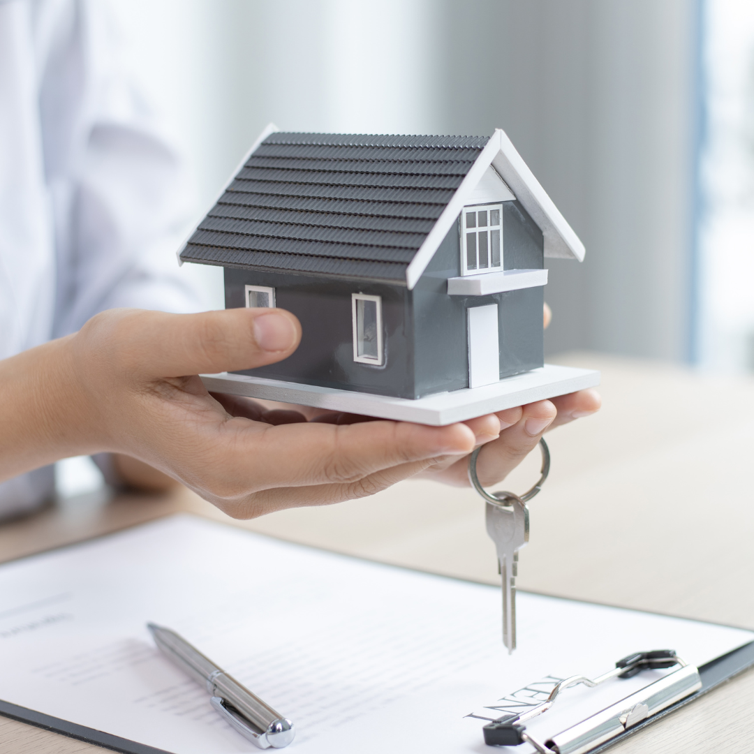 Assistant immobilier - Expert Gestion Locative