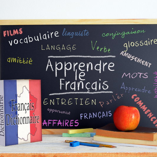 FORMATION FRANCAIS PROFESSIONNEL