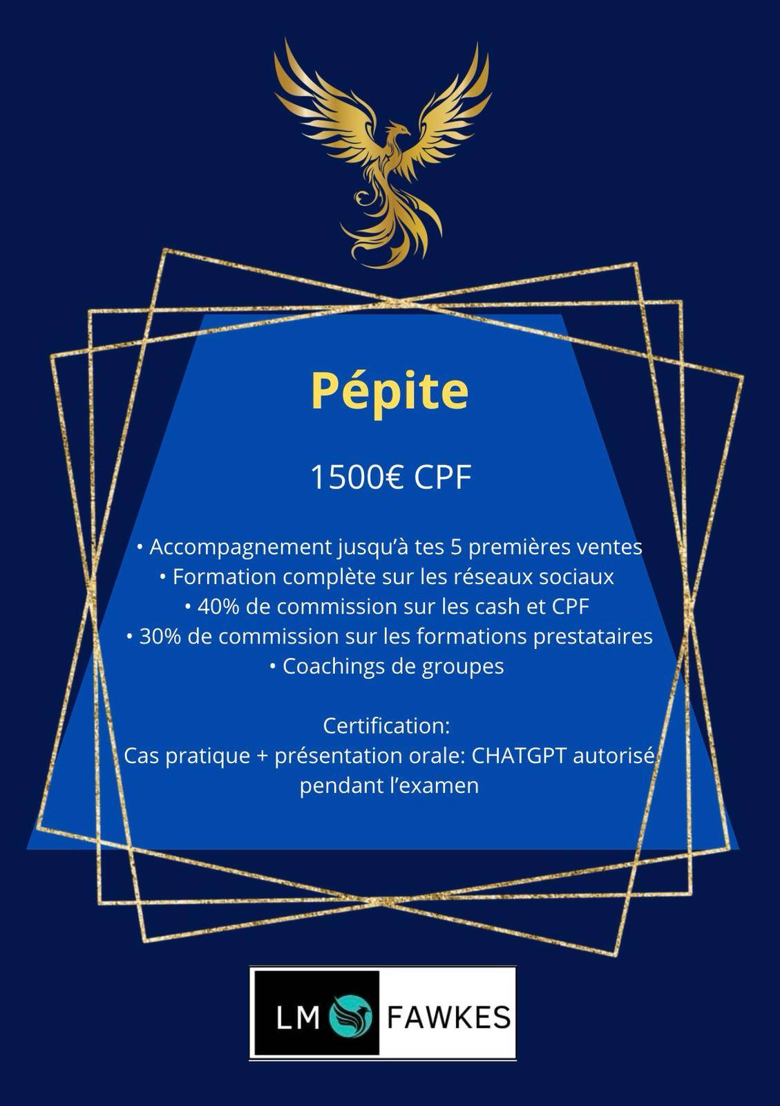 APPORTEUR D'AFFAIRE - ACCOMPAGNEMENT PEPITE
