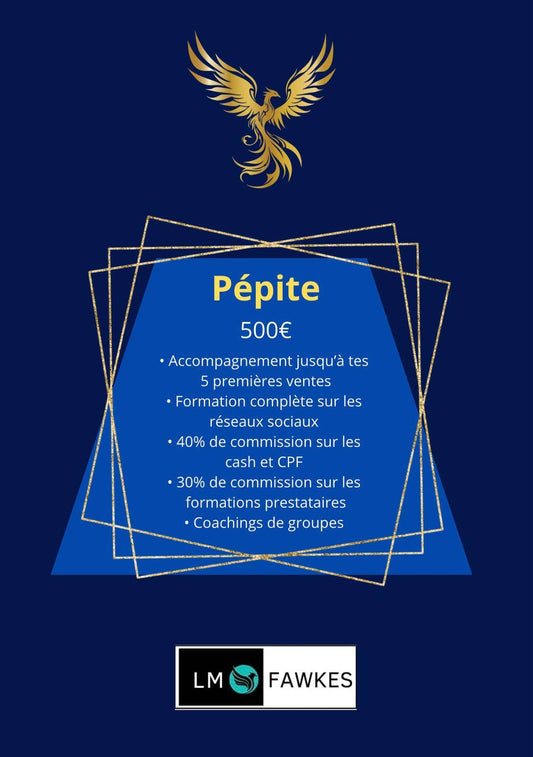 APPORTEUR D'AFFAIRE - ACCOMPAGNEMENT PEPITE